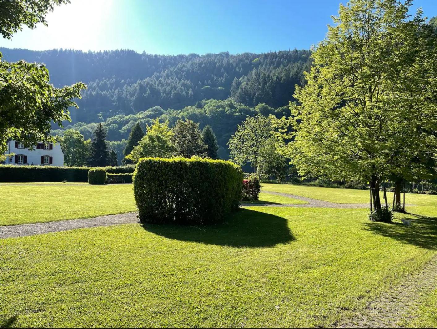 Penthouse Palais Mosel Lejlighed Traben-Trarbach Eksteriør billede